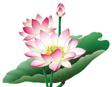 吉祥蓮花圖案|蓮花圖片素材, 蓮花圖案免費下載